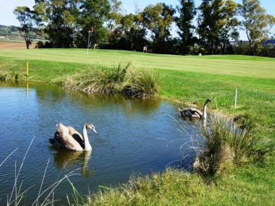 Tarquinia-Golf-Club-8-1